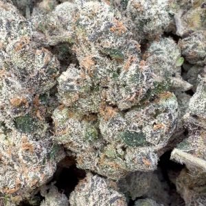 Elite Boutique Exotics White Cherry Gushers - Großgebinde - Hybrid