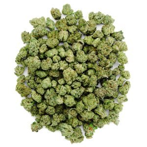 Orange Creamsicle - Indoor - 14 Gramm Minis - Sativa