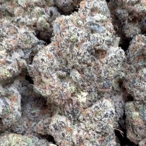 Garlic Cookies Indoor - Großgebinde - Hybrid