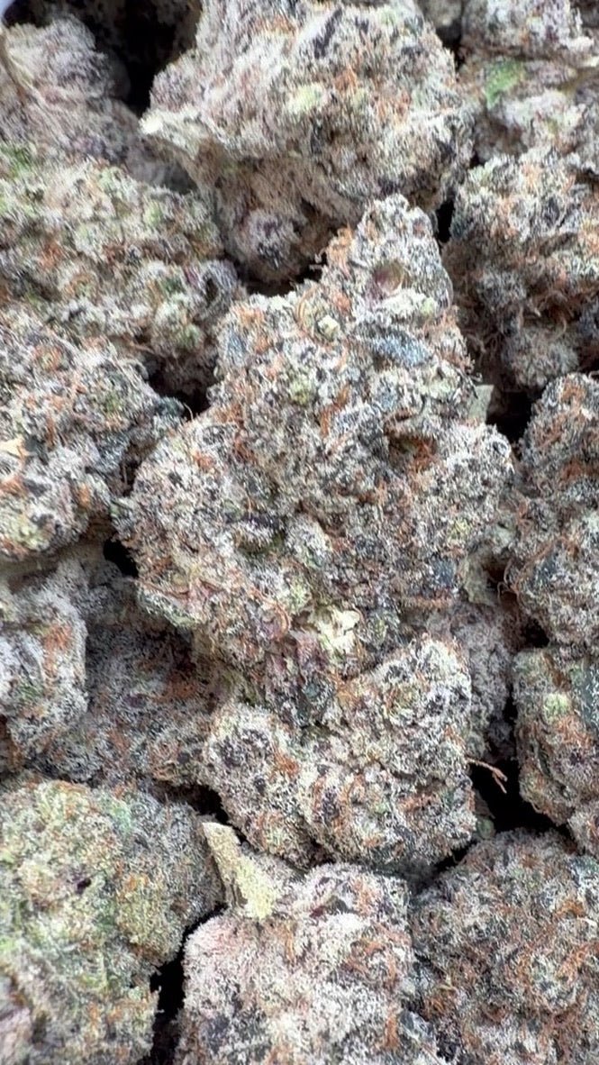 Garlic Cookies Indoor - Großgebinde - Hybrid
