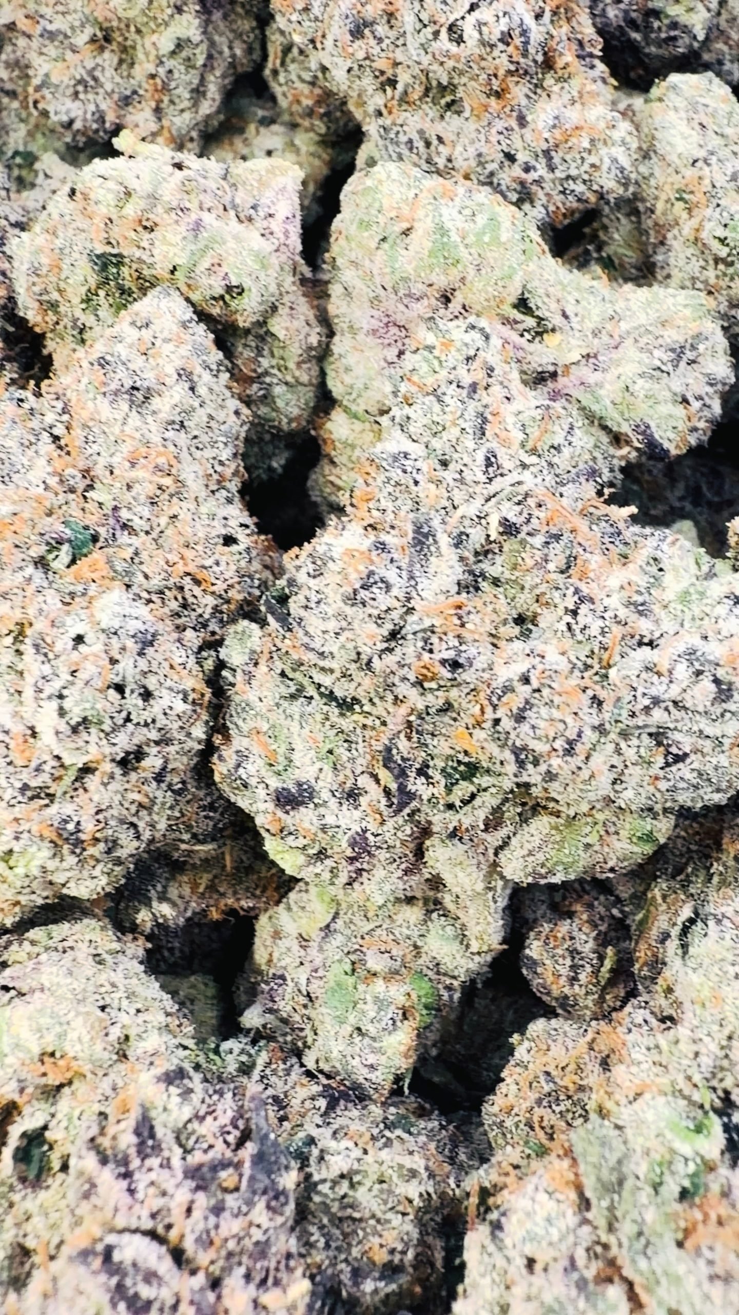 Boutique Exotics Lemon Dior - Großgebinde - Hybrid