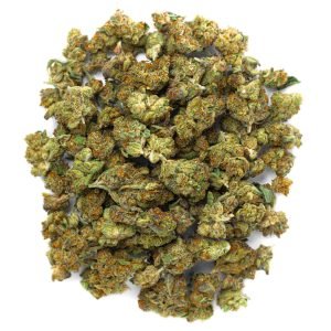 Barneys Biscotti Minis - 14 Gramm - Indica