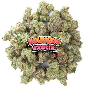 Boutique Exoten - Mylar Magic - 14 Gramm - Hybrid