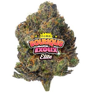 Elite Boutique Exoten - Cotton Kandy Faygo - 14 Gramm - Hybrid