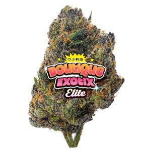 Elite Boutique Exoten - Z Candy - 14 Gramm - Hybrid