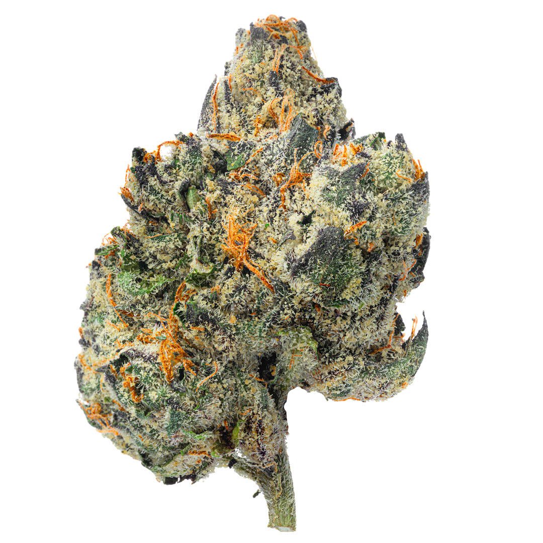 Elite Boutique Exoten - Don Murfos LCG - 14 Gramm - Hybrid - Image 4