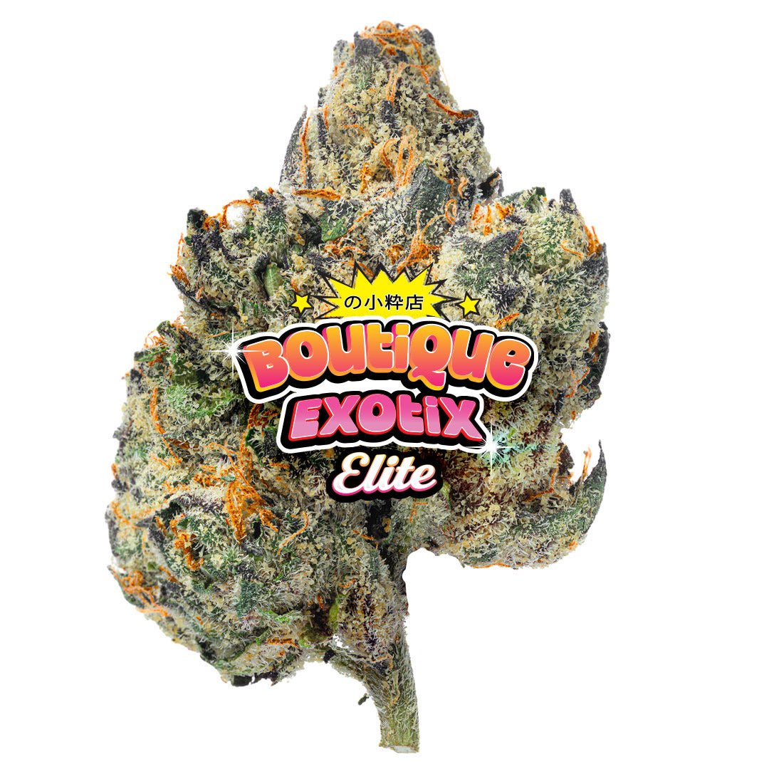 Elite Boutique Exoten - Don Murfos LCG - 14 Gramm - Hybrid