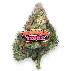 Boutique Exoten - Coffin Candy - 4 Gramm - Hybrid
