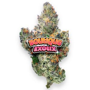 Boutique Exoten - Lemon Dior - 4 Gramm - Hybrid