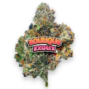 Boutique Exoten - Obama Runtz - 4 Gramm - Hybrid