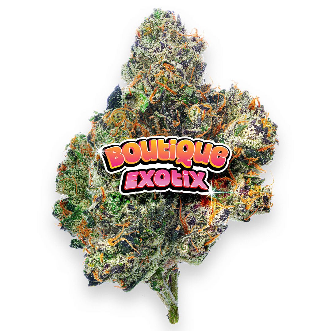 Boutique Exoten - Obama Runtz - 28 Gramm - Hybrid - Image 5