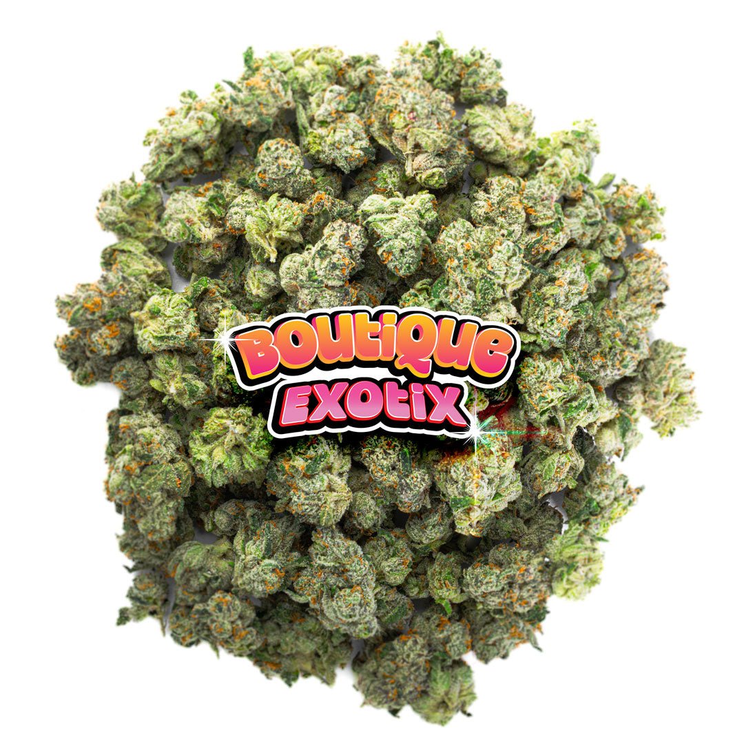 Boutique Exoten - Obama Runtz - 28 Gramm - Hybrid
