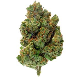 Chocolate Diesel - 28 Gramm - Hybrid