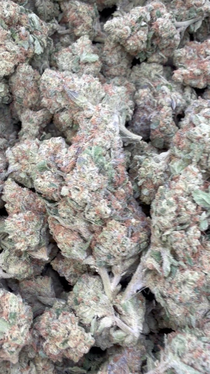 Chocolate Diesel - Großgebinde - Sativa