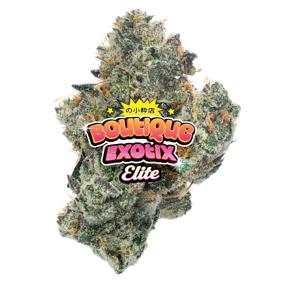 Elite Boutique Exoten - Dark Matter - 4 Gramm - Hybrid