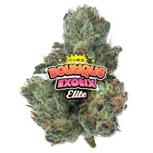 Elite Boutique Exoten - Don Murfos LCG - 4 Gramm - Hybrid