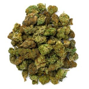 Gelato Cake - 28 Gramm - Hybrid