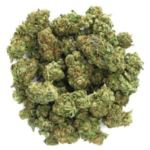 Godfather OG - 28 Gramm - Indica