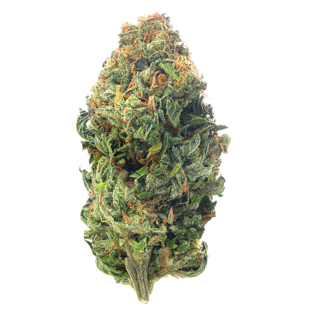 Godfather OG - 28 Gramm - Indica - Image 2