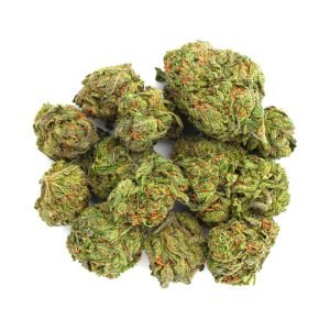 Good Day - 14 Gramm - Gelato 33 - Hybrid