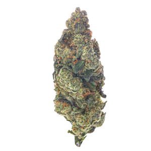 White Gushers - 28 Gramm - Hybrid