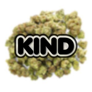 24K Gold Mediums - Großgebinde Mediums - Indica
