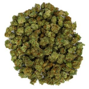 Hashburger - Minis - 14 Gramm - Indica