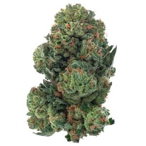 Alien OG - Indoor - 28 Gramm - Indica