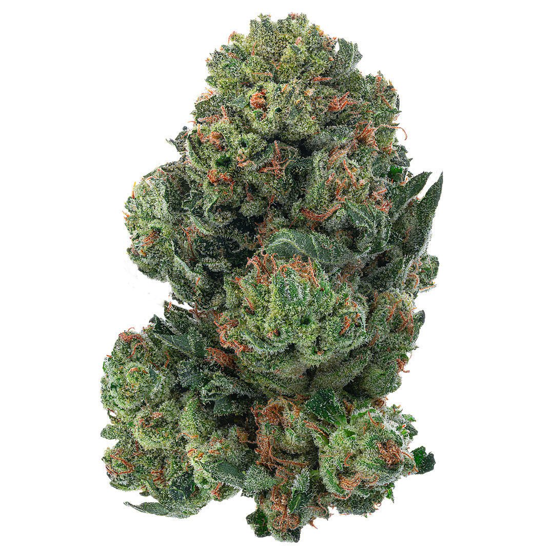 Alien OG - Indoor - 28 Gramm - Indica