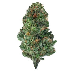 Tahoe OG - 4 Gramm - Indica