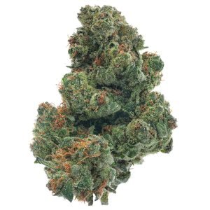 King Louis XIII - 28 Gramm - Indica