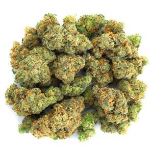 Jack Herer - Indoor - 14 Gramm - Sativa
