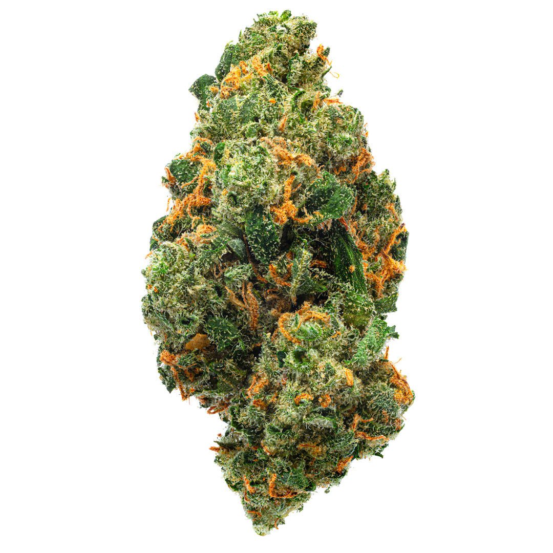 Jack Herer - Indoor - 14 Gramm - Sativa - Image 3