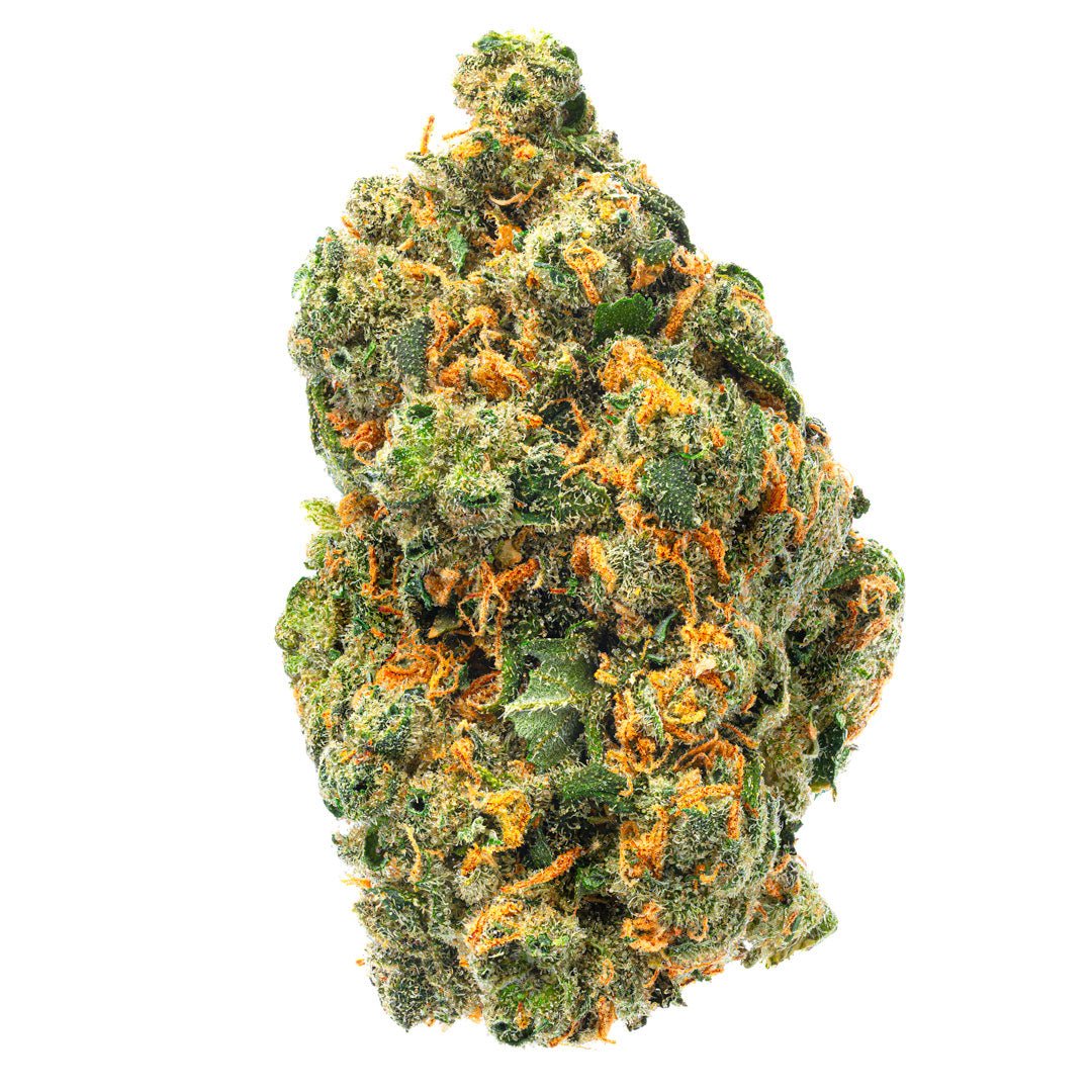 Jack Herer - Indoor - 14 Gramm - Sativa - Image 2