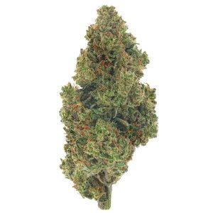 Jack Herer - 14 Gramm - Sativa