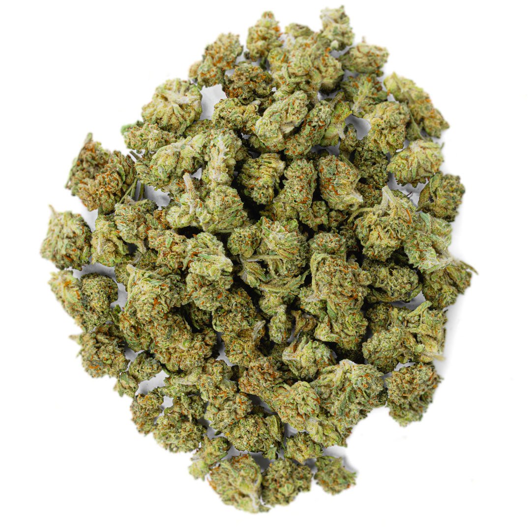 Jack Herer - Minis - 14 Gramm - Sativa