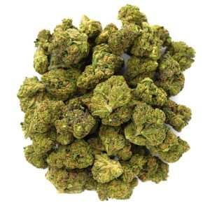 Jealousy - 28 Gramm - Hybrid