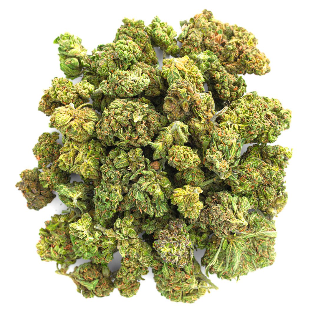 Jungle Gelato - 28 Gramm - Indica