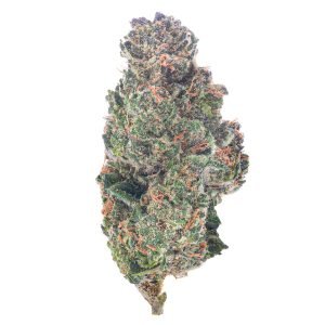 Key Lime Jack - 28 Gramm - Sativa