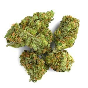 Master Kush - 4 Gramm - Indica