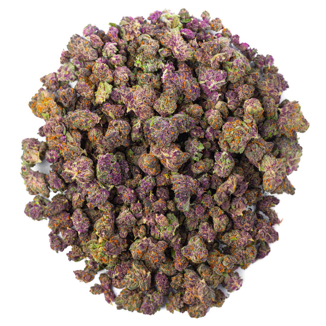 Purple Trainwreck Minis Indoor - 28 Gramm - Sativa