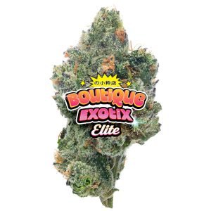 Elite Boutique Exoten - Purple Zkittles - 4 Gramm - Indica