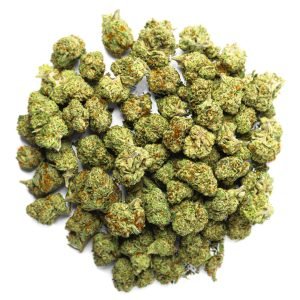 Raspberry Kush - 28 Gramm - Indica