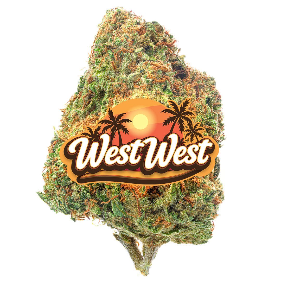 West West Brand - Raspberry Kush - 14 Gramm - Indica - Image 4