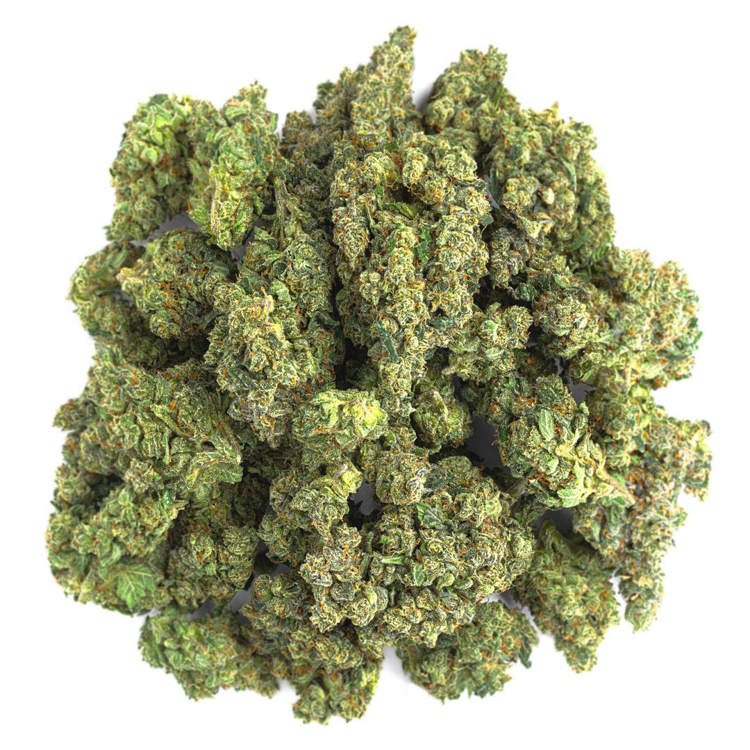 Super Jack Indoor - 14 Gramm - Sativa