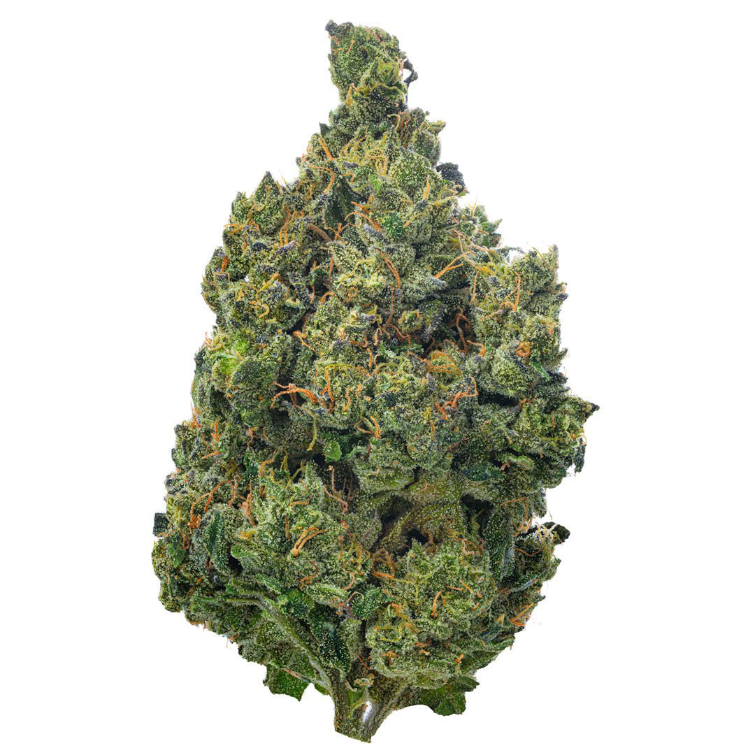 Super Jack Indoor - 14 Gramm - Sativa - Image 2