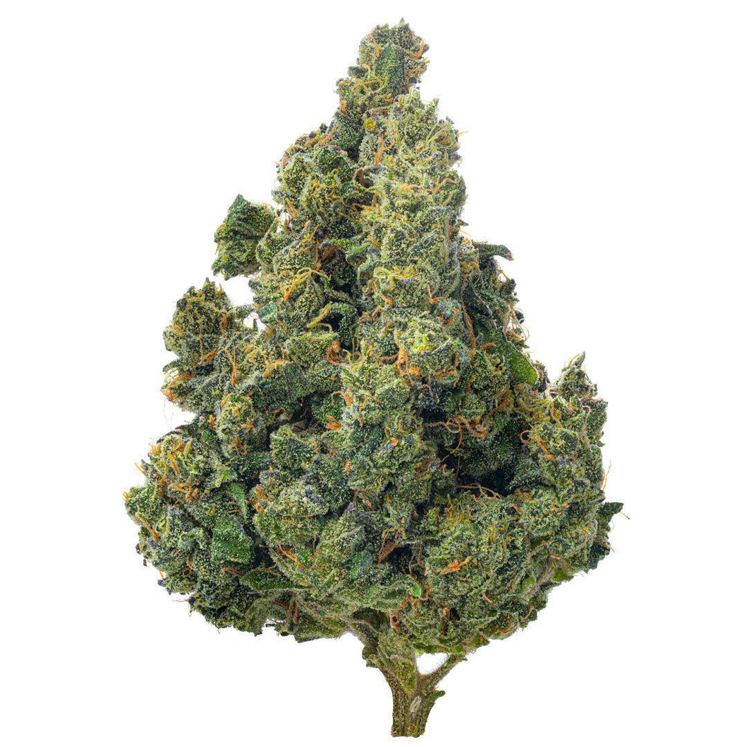 Super Jack Indoor - 14 Gramm - Sativa - Image 3
