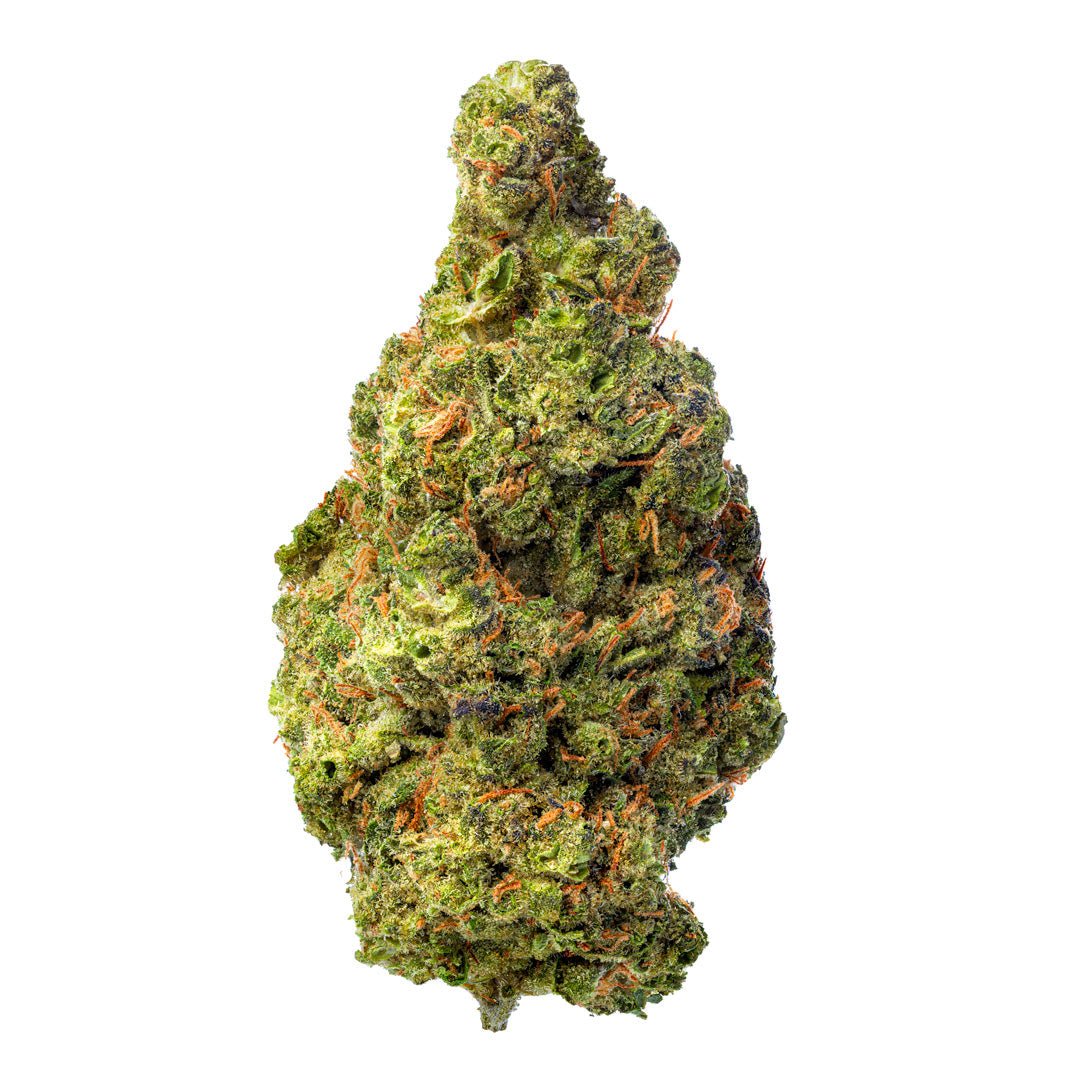 Biscotti Cake - 28 Gramm - Hybrid - Image 2