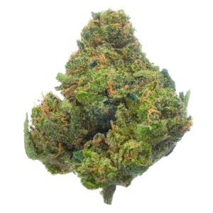 Jack Herer - Indoor - 4 Gramm - Sativa