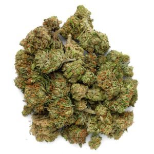 GMO - 14 Gramm - Indica